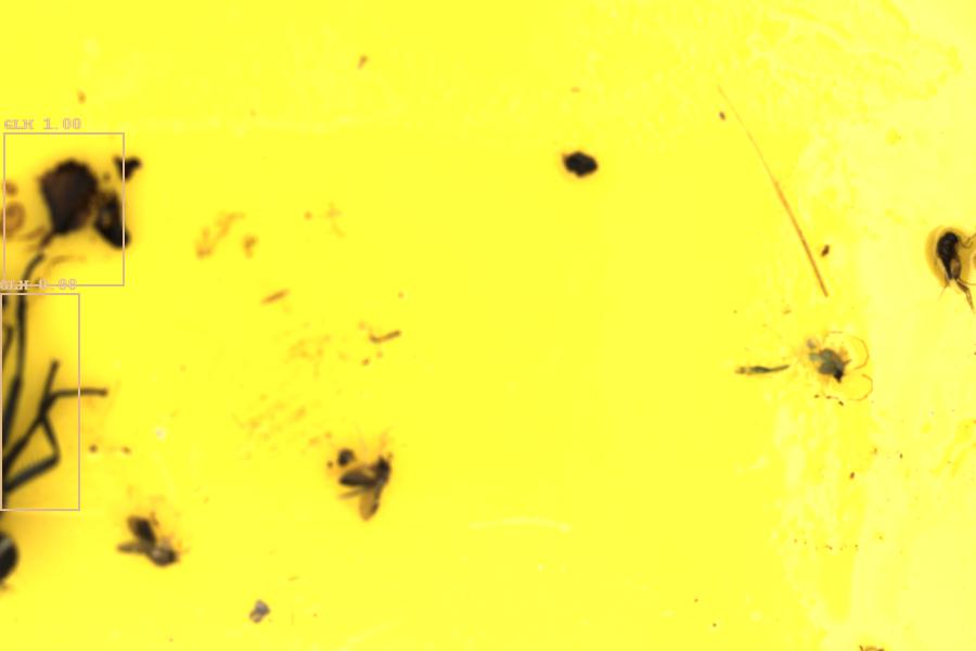 Image 12